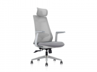 Aura Meeting/Task Chair